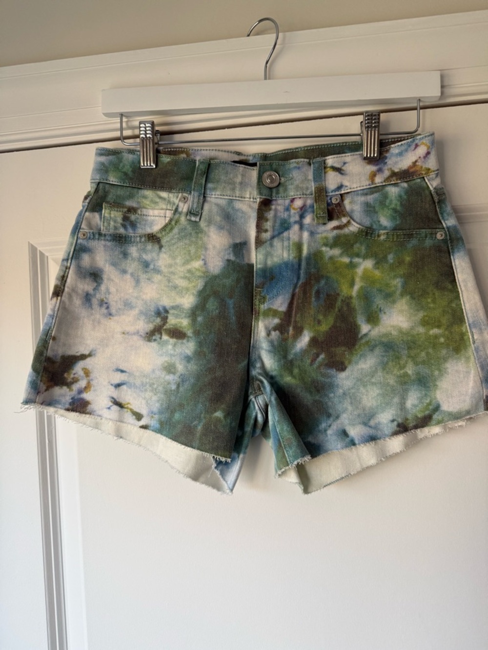 NWOT, Hudson Los Angeles Watercolor Print Shorts, Size 25